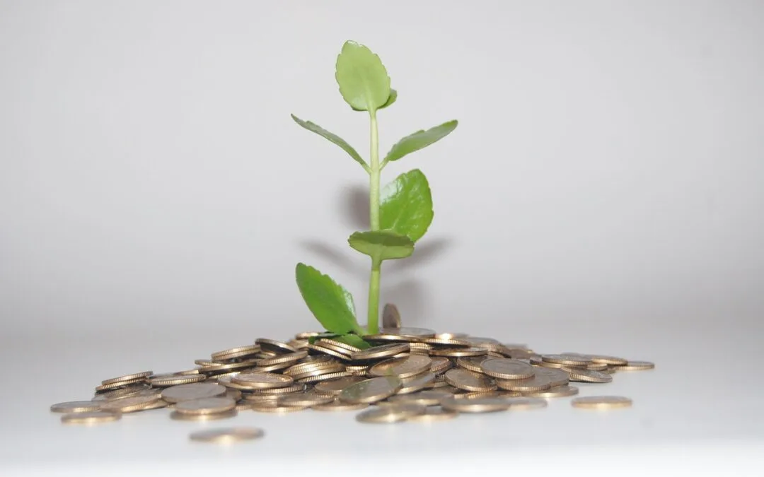 How Commercial Building Companies Help Prevent Waste