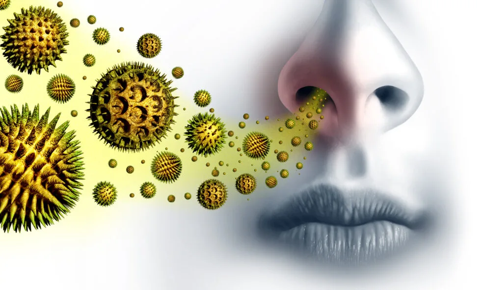 Best Ways To Minimize Allergens at Commercial Facilities